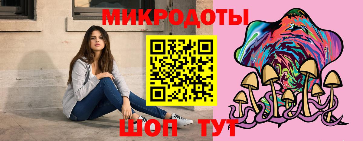 Псилоцибиновые грибы Psilocybine cubensis Верхняя Пышма